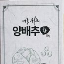 에스티엘안전