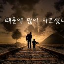 헤세드 이미지
