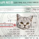 세후21억 당첨으로 프리미엄 아파트 샀음(기❌) 이미지