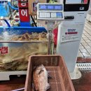 현우수산 이미지