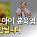 폭군이 된 아이 훈육법, 이렇게 교육하시면 아이를 폭군으로 만들지 않습니다. 이미지