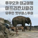 (주)초원렌트카 | 후쿠오카 태교여행: 유후인 아프리칸사파리 벳부 일일버스투어: 소소투어