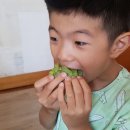 금오암소한마당 이미지