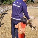 은봉목장 이미지