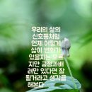 불나비ㅡ 장윤정노래 ㅡ 이미지ㅡ 가사첨부ㅡ 이미지