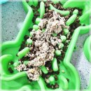 우프밀(woofmeal) 네이버블로그