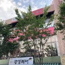 아마란스뷰티라인 - 청주시 흥덕구 가로수로1240번길 18 | 아마란스뷰티라인
