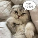 종로-연건-종로-연-289 | 6월, 01 시간아 천천히 ~
