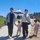 쌍둥이농원 - 음성군 사곡길79번길 44 | 고창 상하농원 30개월 쌍둥이와 방문 후기 | 아기랑 갈만한곳 추천