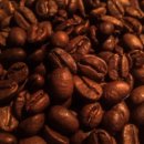 계동가든 | 수원 삼겹살 맛집 계동돼지, 탐라담 추천