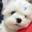 금빛PC방 | 1월 일상 생각 많이 날 거야