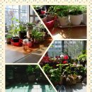 삼아어산 이미지