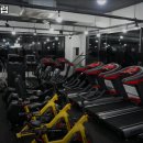 소나무헬스클럽 | 충청북도 제천시 헬스장 소나무헬스클럽 내용가격운영시간주차리뷰 알아보기