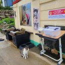 두나펫 코리아 이미지