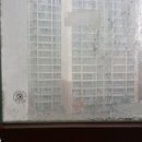 라온약품 이미지