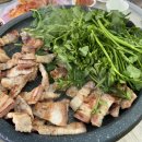 치산미나리