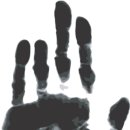 도시락폭탄 이미지