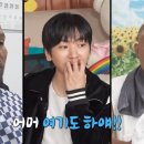 홍가 이미지