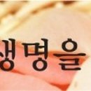 울랄라4층 이미지
