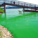 금강페인트 이미지