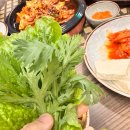 쌈마니 | [삼척] 쏠비치 삼척 쌈밥 전문점 쌈마니 솔직 후기
