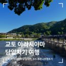 엠제이돼지 | 교토 아라시야마 당일치기 코스 추천+여행후기