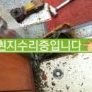 고향집생고기 이미지
