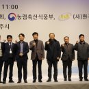 GCC웨딩