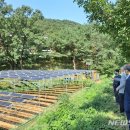 새마을 태양광발전소 이미지