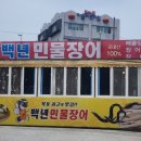 백년장어 이미지