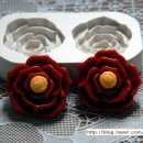 수정-127 이미지