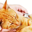 권선구 고려병원 이미지