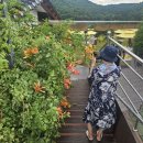 지금 이 순간 이미지