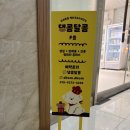 반려동물문화반 | 경기김포반려동물케이크 찐 만족 후기｜걸포동 반려동물 수제간식 댕콤달콤 크리스마스 케이크