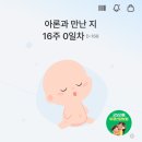 혜인종합중기 | 드디어 느낀 첫 태동 | 성별 확인 | 환도선다 통증 시작 | 줄어드는 입덧 | 임신 중기 증상, 배 크기