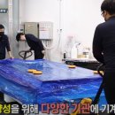 부광 이미지