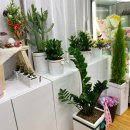 365논현역약국 | 인천 남동구 꽃배달 어버이날 꽃선물은 꽃블리