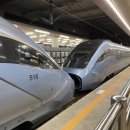 야동목장 이미지