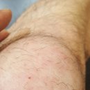 우쭈쭈 내강아지 이미지