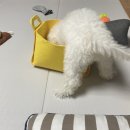 이상백농장 이미지