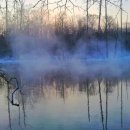 산속의 아침 이미지