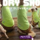 베스트드라이 이미지