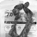 문정탑동물병원 이미지