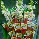 하얀도화지 이미지