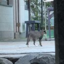 단합 | 에어컨 단합대회 후기 – 키다리와 에어컨 식구들의 25년 마무리 이야기