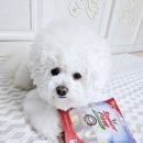 슈퍼포우