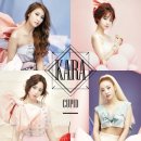 카라뷰티아카데미 이미지
