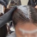 서울대입구 미용실 레이어드컷 잘하는 곳 준오헤어 후기