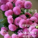 우리방 이미지