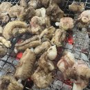 양천 | 목동꼼장어 양천꼼장어 솔직후기
